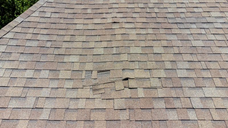 Asphalt Roof Inspection in Ambler, PA