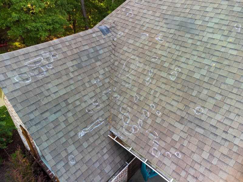 Asphalt Roof Inspection in Chester Springs, PA