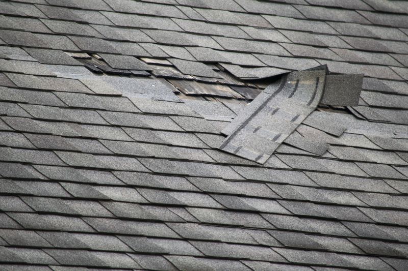 Asphalt Roof Leak Repair in Fort Washington, PA
