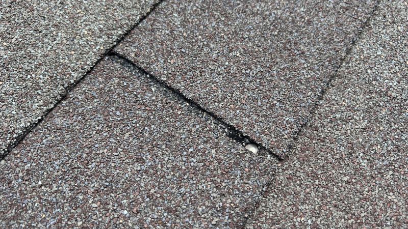 Asphalt Roof Repair in Warminster, PA