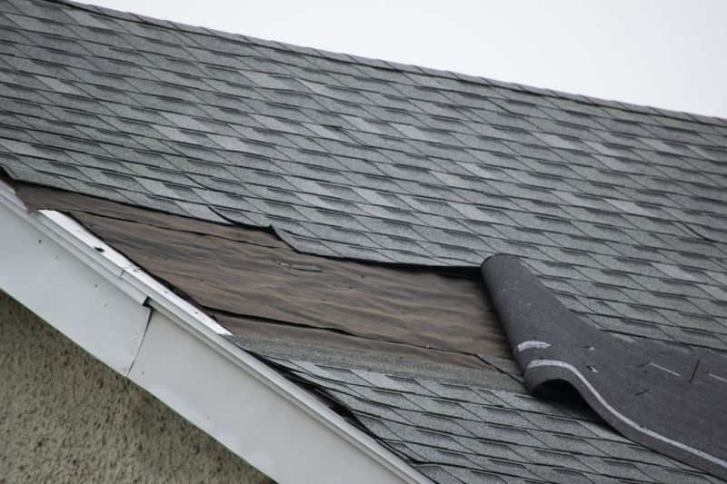 Asphalt Shingles Repair in Paoli, PA
