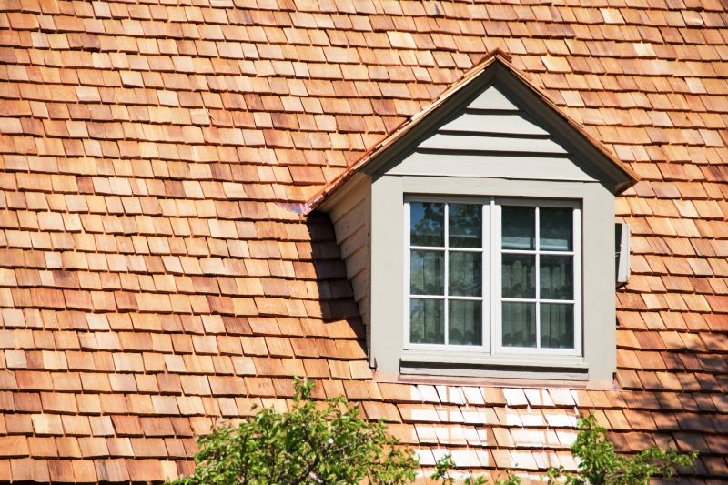 Cedar Shake Roof Repair in Gloucester County, NJ