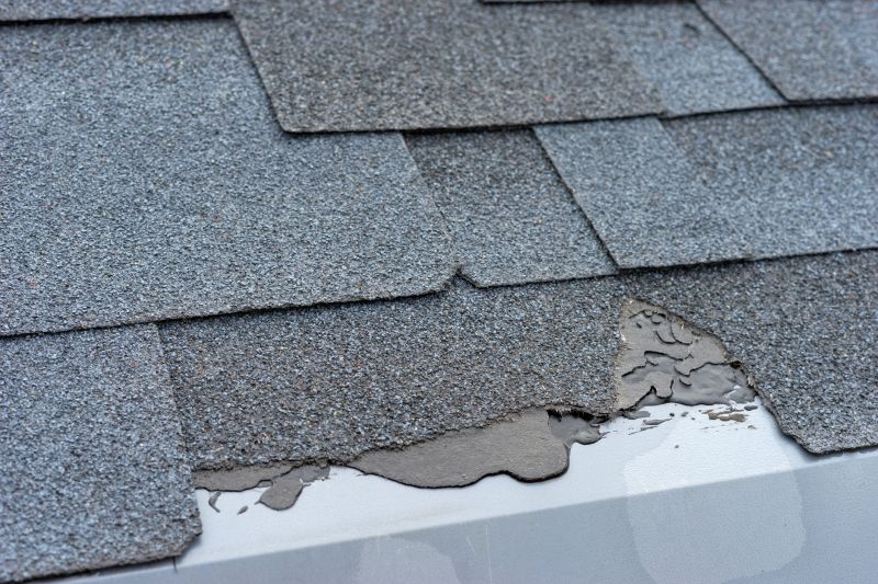 Damaged Roof Repair in King Of Prussia, PA