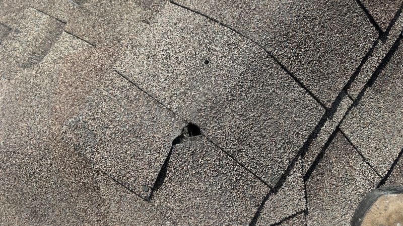 Damaged Roof Repair in West Chester, PA