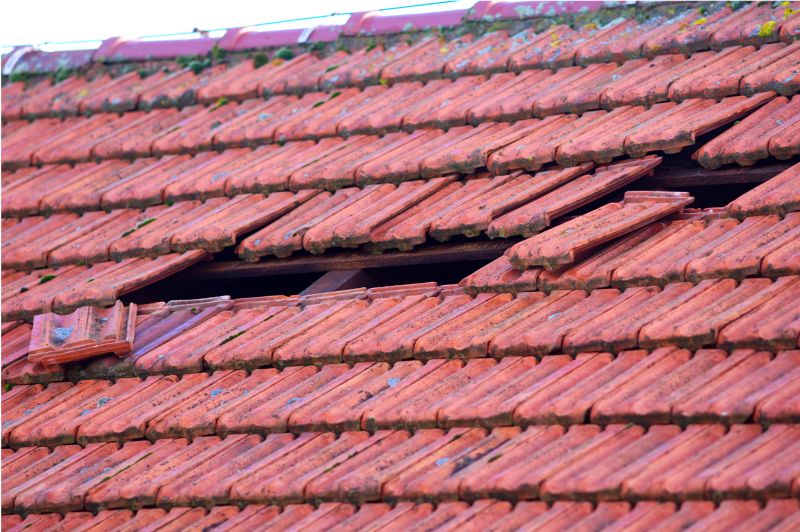 Damaged Roof Replacement in Perkasie, PA