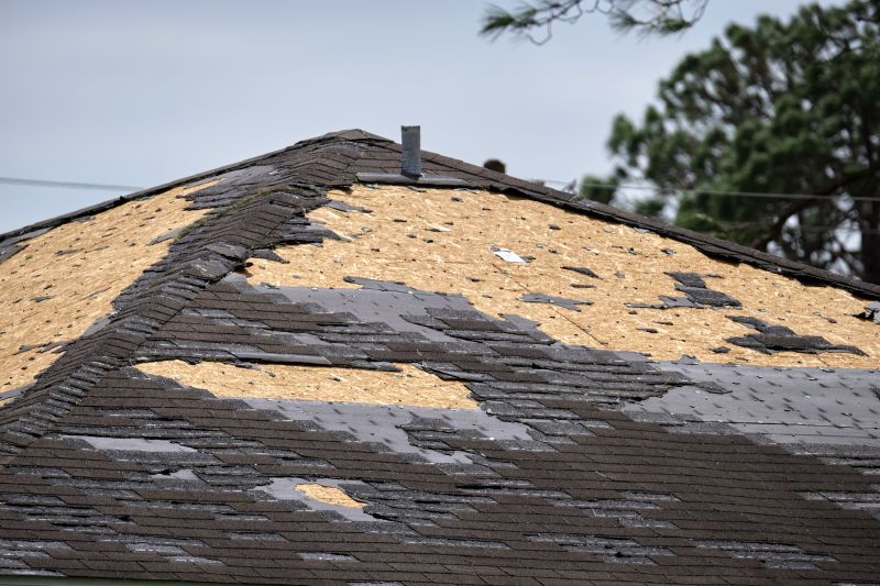 Roof Damage Repair in King Of Prussia, PA