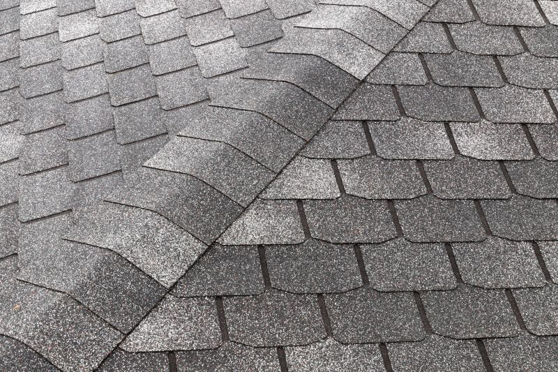 Roof Shingles Replacement in Camden, NJ