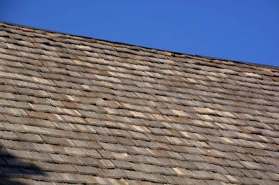 Shake Shingle Repair in Wynnewood, PA